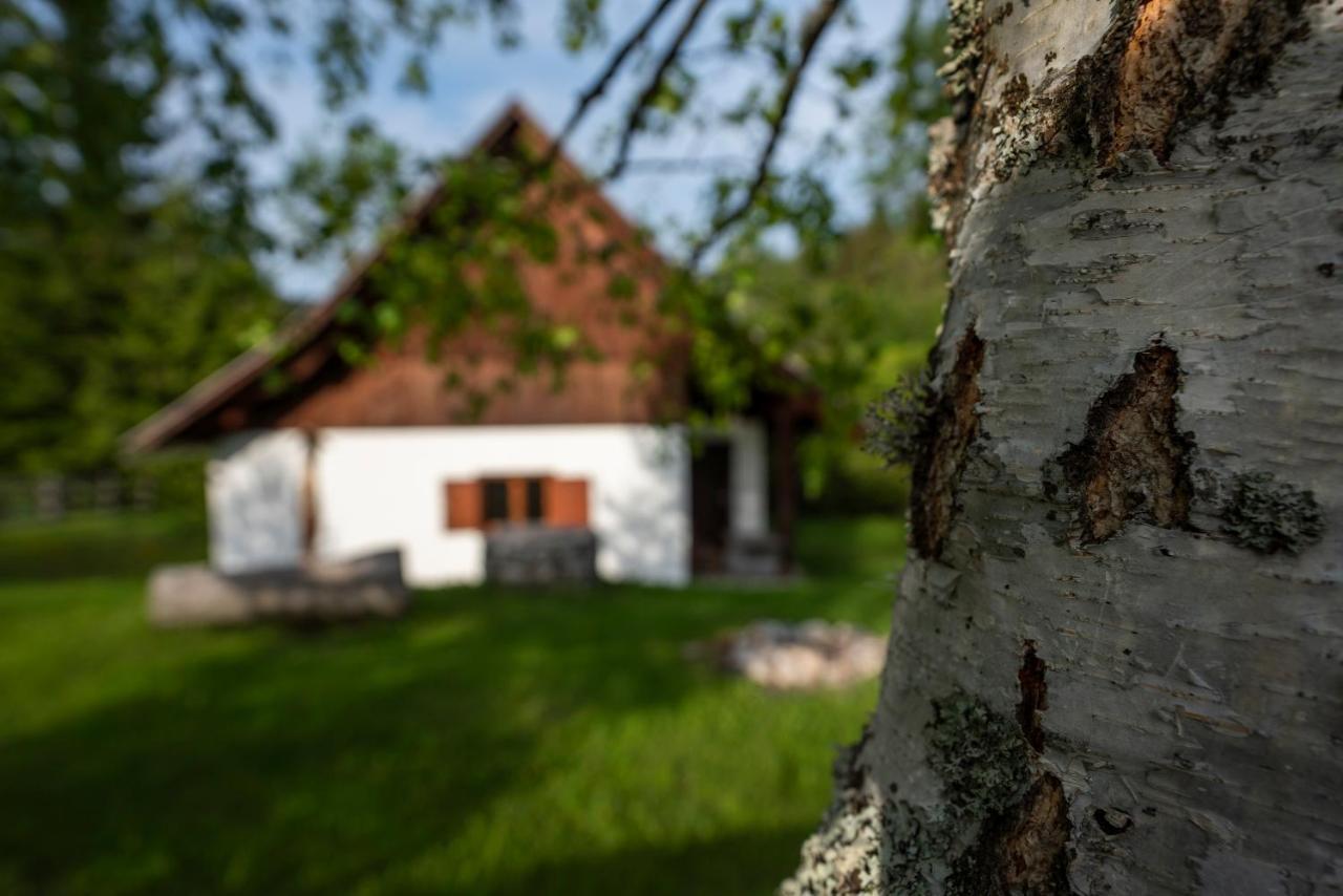 Srednja Vas Hébergement de vacances