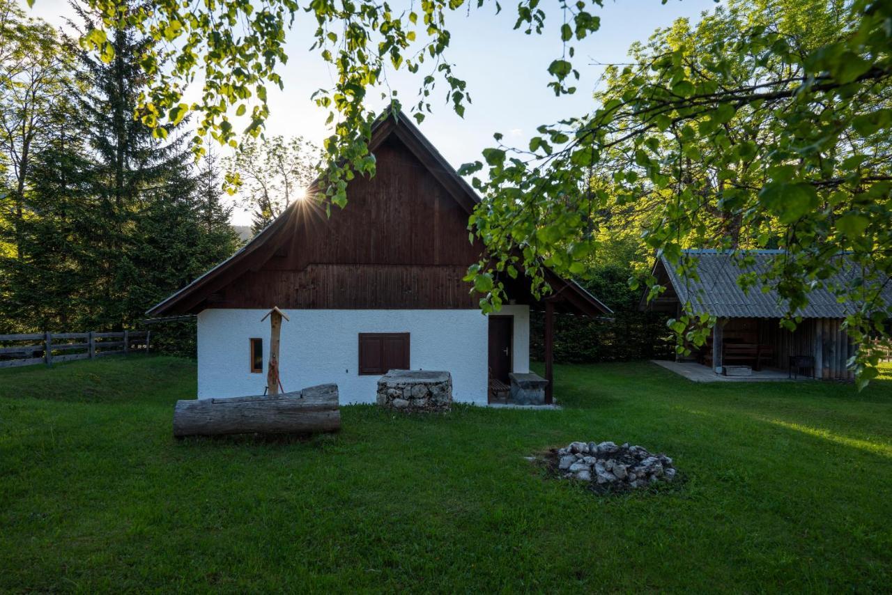 Hébergement de vacances Srednja Vas *