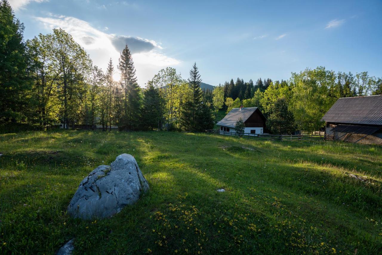 Srednja Vas Hébergement de vacances Srednja Vas v Bohinju
