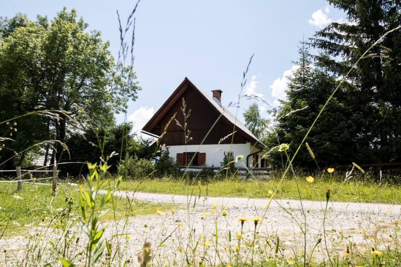 Srednja Vas Hébergement de vacances