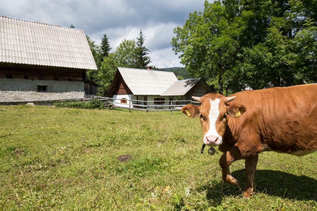 Srednja Vas * Srednja Vas v Bohinju